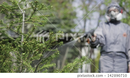 Worker spraying plants near evergreen branches in a sunny outdoor garden 142890710