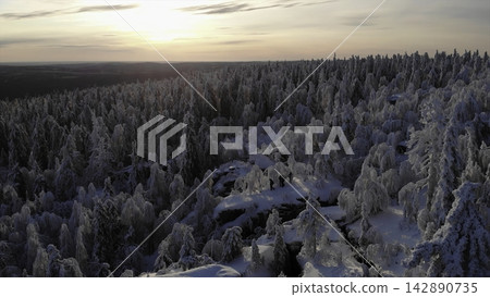 High Above Frozen Forest With Sparkling Branches And Tranquil Cold Light During Winter Twilight . Media High Above Frozen Forest With Sparkling Branches And Tranquil Cold Light During Winter Twilight . Media 142890735