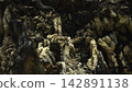 burnt landscape transformation from lush to charred forest or mountainous terrain aerial or high-angle shot dramatic and somber mood environmental impact wildfire aftermath. 142891138