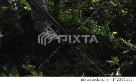 Person digging soil in a forest clearing Person digging soil in a forest clearing 142891153
