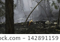 burnt forest fire aftermath on ground level with ashes and trees in somber mood after disaster relief efforts in forest setting with brown and gray tones and dramatic. 142891159