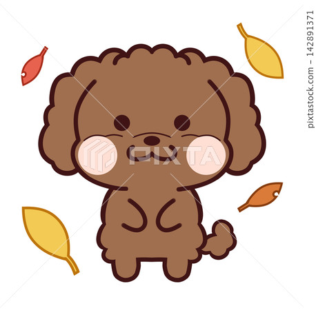 落葉中的玩具貴賓犬/深棕色 落葉中的玩具貴賓犬/深棕色 142891371