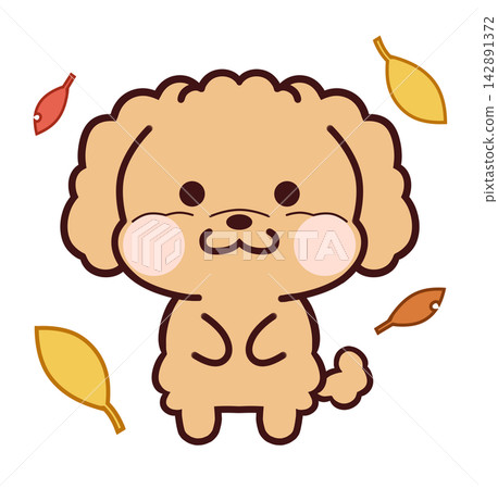 落葉中的玩具貴賓犬/棕色 落葉中的玩具貴賓犬/棕色 142891372