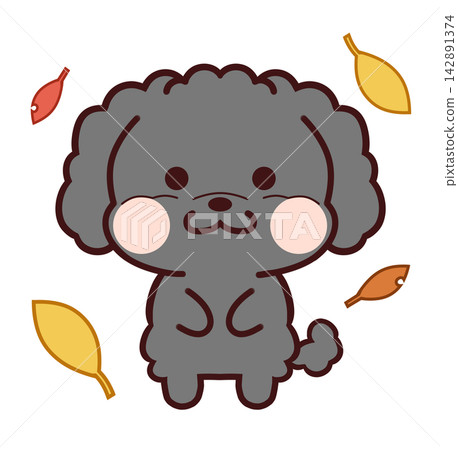 落葉中的玩具貴賓犬/黑色 142891374