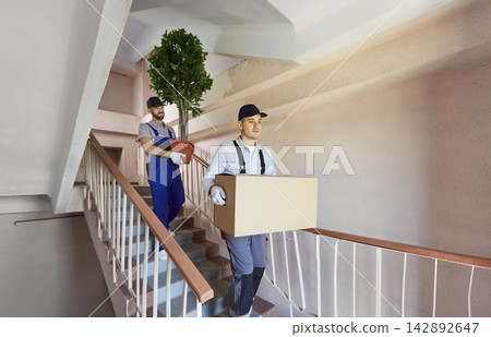 Young movers carrying packing cardboard box and plant down the stairs. Move, moving day concept. 142892647