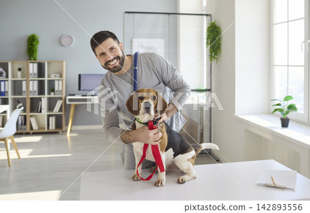Smiling veterinarian examining beagle dog in bright modern animal clinic office Smiling veterinarian examining beagle dog in bright modern animal clinic office 142893556