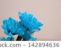 blue flower	 142894636