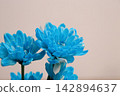 blue flower	 142894637