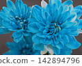 Blue flowers 142894796