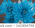 Beautiful flowers 142894798