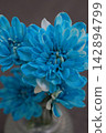 blue flower	 142894799