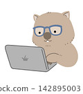 Vector illustration of a wombat wearing glasses and using a laptop. Vector illustration of a wombat wearing glasses and using a laptop. 142895003