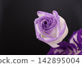 Purple flower 142895004