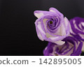 Purple flower 142895005