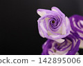 Flower  142895006