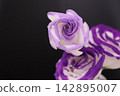 Purple flower 142895007
