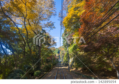高雄山纜車和秋葉 高雄山纜車和秋葉 142895054