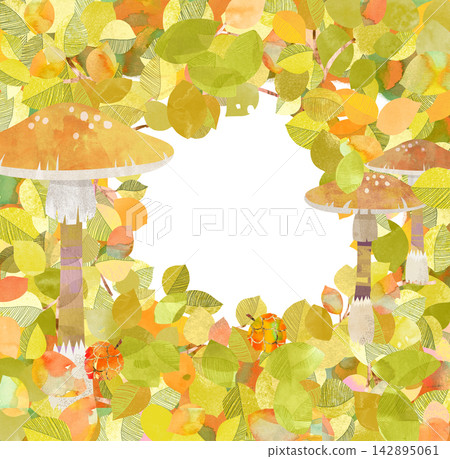 Mushrooms and forests Mushrooms and forests 142895061