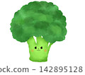 Cute watercolor-style illustration of broccoli 142895128