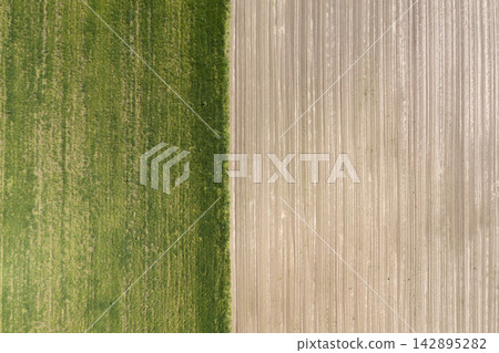 agricultural field, view from above agricultural field, view from above 142895282
