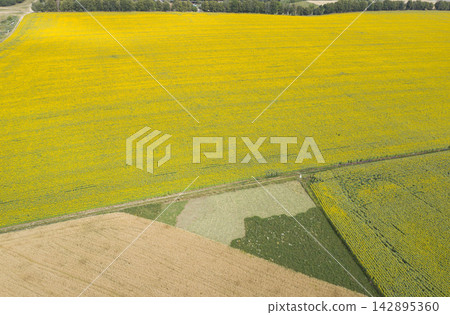 agricultural field, view from above agricultural field, view from above 142895360