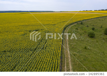 agricultural field, view from above agricultural field, view from above 142895361