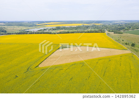 agricultural field, view from above agricultural field, view from above 142895362