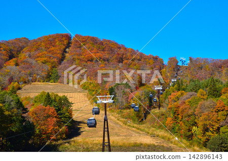 秋季白馬岩岳纜車 秋季白馬岩岳纜車 142896143