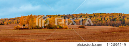 Autumn landscape with golden trees and brown fields in a rural area Autumn landscape with golden trees and brown fields in a rural area 142896249