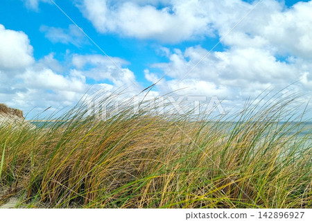 Coastal Landscape with Clouds and Grassy Sand Dunes by the Ocean for Nature and Travel Design Coastal Landscape with Clouds and Grassy Sand Dunes by the Ocean for Nature and Travel Design 142896927