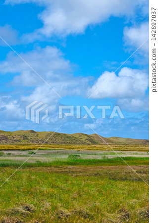 Tranquil Summer Landscape with Blue Sky and Rolling Hills for Nature Posters Tranquil Summer Landscape with Blue Sky and Rolling Hills for Nature Posters 142897037