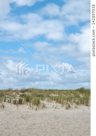 Tranquil Coastal Landscape with Blue Sky and Sandy Dunes for Relaxation and Inspiration Tranquil Coastal Landscape with Blue Sky and Sandy Dunes for Relaxation and Inspiration 142897038