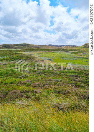 Serene Landscape of Rolling Green Hills Under a Cloudy Blue Sky Serene Landscape of Rolling Green Hills Under a Cloudy Blue Sky 142897048