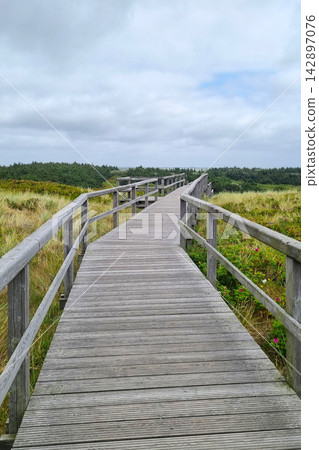 Scenic Wooden Boardwalk Through Lush Green Meadow Under Cloudy Sky for Tranquil Nature Walks Scenic Wooden Boardwalk Through Lush Green Meadow Under Cloudy Sky for Tranquil Nature Walks 142897076
