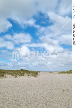 Tranquil Beach Landscape with Sand Dunes and Blue Sky Ideal for Travel Posters and Nature Designs Tranquil Beach Landscape with Sand Dunes and Blue Sky Ideal for Travel Posters and Nature Designs 142897140