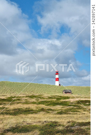Scenic Coastal Landscape with Iconic Red and White Lighthouse on Grassy Hillside Scenic Coastal Landscape with Iconic Red and White Lighthouse on Grassy Hillside 142897141