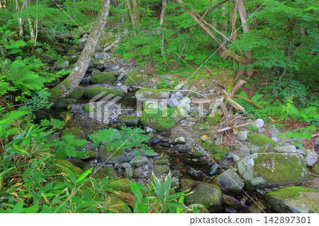 World Heritage Site: Landscape with Stones World Heritage Site: Landscape with Stones 142897301