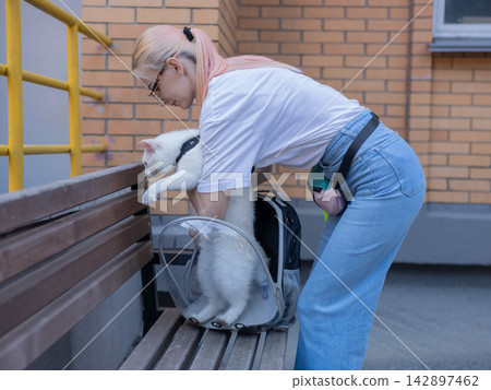 The owner puts the cat into a transparent carrier backpack. The owner puts the cat into a transparent carrier backpack. 142897462