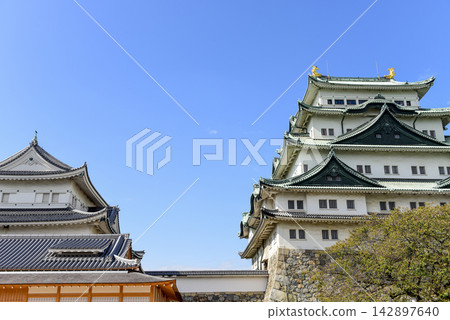 名古屋城堡 142897640