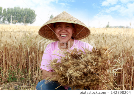 Smiling female farmer holding a large bunch of golden wheat stalks, agriculture and food security concept. Smiling female farmer holding a large bunch of golden wheat stalks, agriculture and food security concept. 142898204