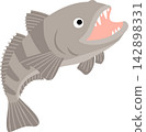Vector illustration of a Magellan rockfish (toothfish) Vector illustration of a Magellan rockfish (toothfish) 142898331