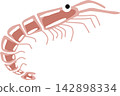 Vector illustration of Antarctic krill Vector illustration of Antarctic krill 142898334