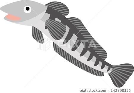 南極冰魚的向量圖 南極冰魚的向量圖 142898335