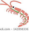 Vector illustration of Antarctic krill Vector illustration of Antarctic krill 142898336