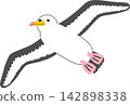 Vector illustration of an albatross flying in the sky Vector illustration of an albatross flying in the sky 142898338