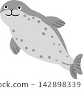 Leopard seal vector illustration Leopard seal vector illustration 142898339