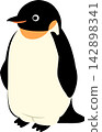 Emperor penguin vector illustration Emperor penguin vector illustration 142898341