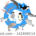 Vector illustrations of Antarctica and its animals Vector illustrations of Antarctica and its animals 142898514