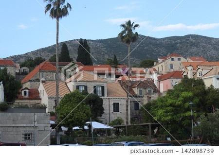 Tall palm trees and historic stone houses with red roofs in Cavtat, Croatia Tall palm trees and historic stone houses with red roofs in Cavtat, Croatia 142898739