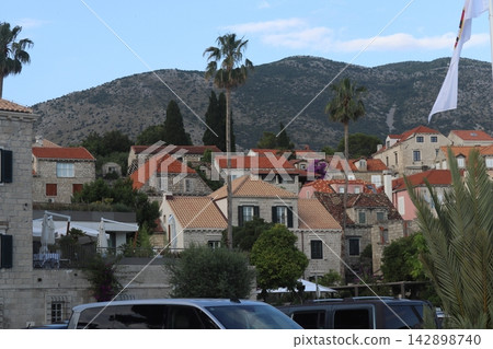 Traditional stone houses with red roof tiles and palm trees in Cavtat, Croatia Traditional stone houses with red roof tiles and palm trees in Cavtat, Croatia 142898740